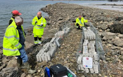 META facilitates low carbon concrete experiment