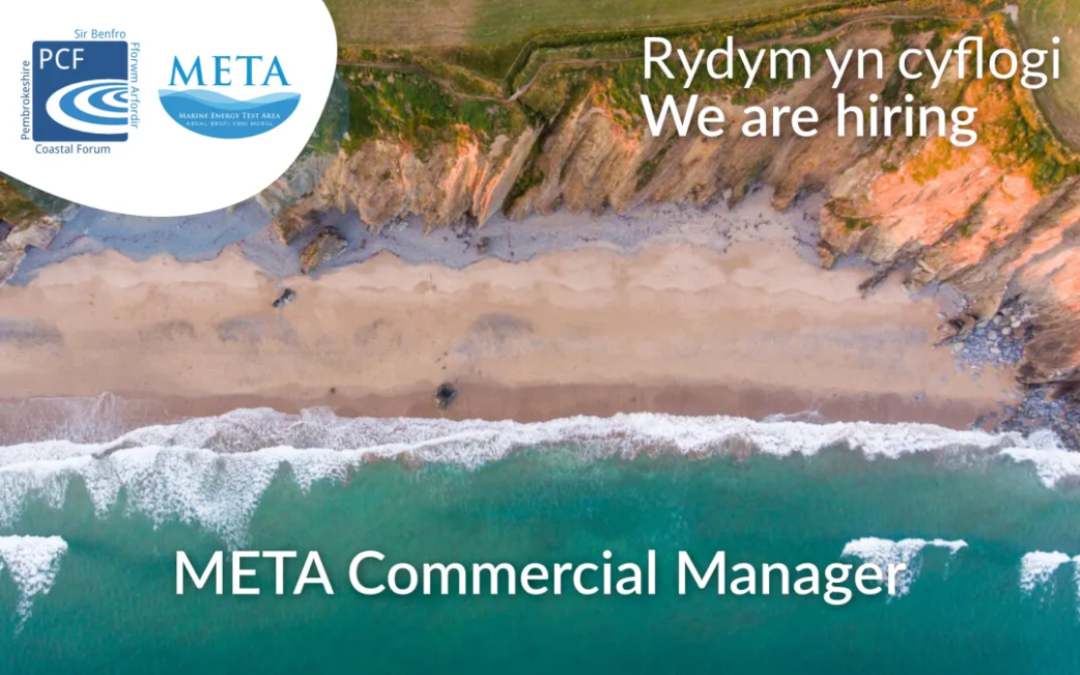 We are hiring – META Commercial Manager